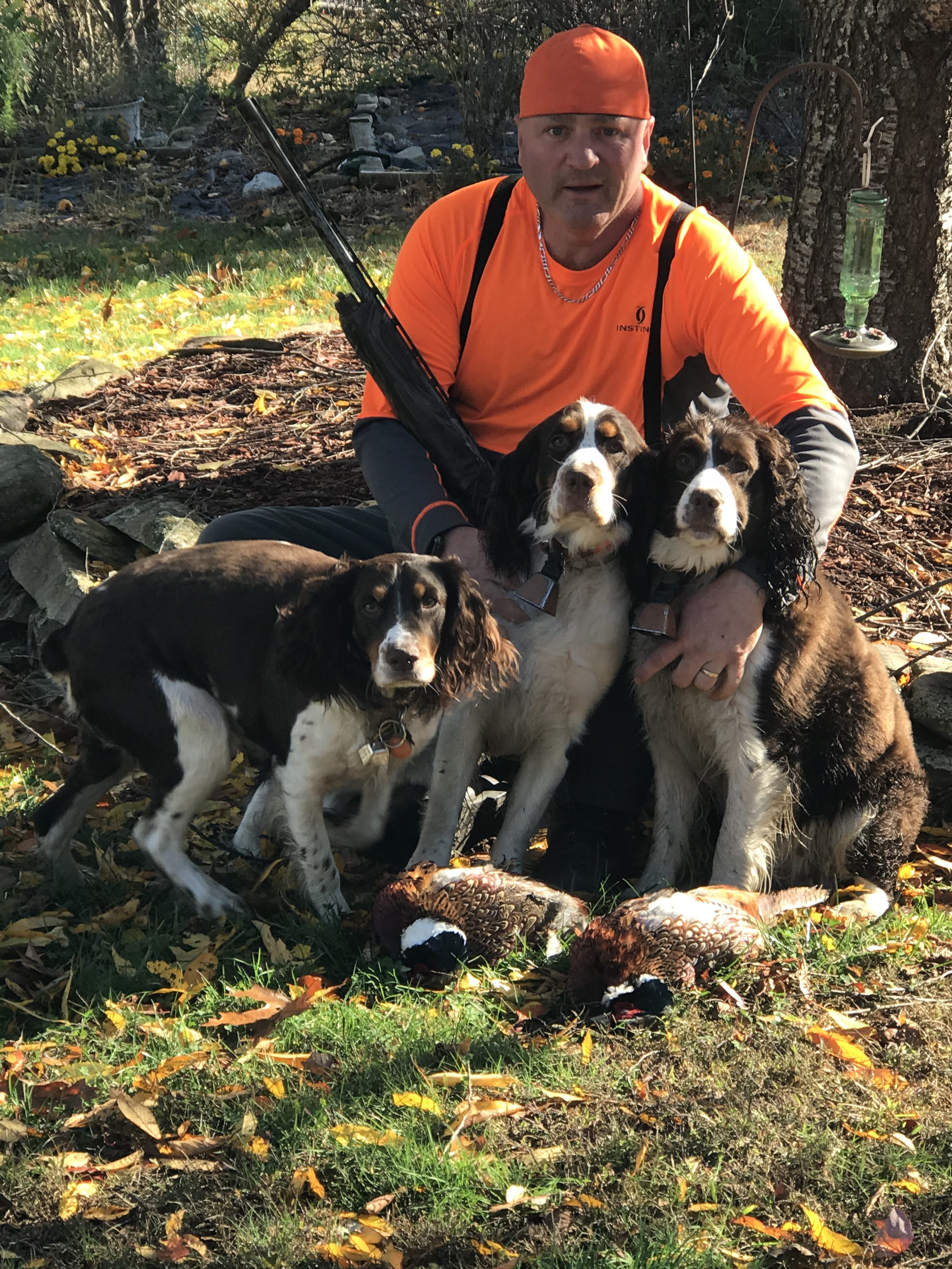 Lassale's Springers